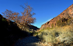 photo thumbnail #10