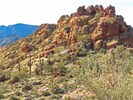 photo thumbnail #8