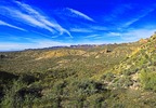 photo thumbnail #9