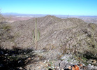photo thumbnail #5