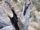 photo thumbnail #2