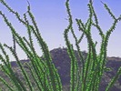 photo thumbnail #9