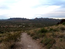 photo thumbnail #8