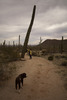 photo thumbnail #11