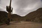 photo thumbnail #13