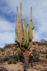 photo thumbnail #15