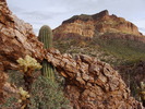 photo thumbnail #15