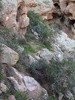 photo thumbnail #12