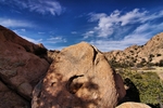 photo thumbnail #10