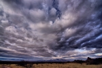 photo thumbnail #12