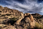 photo thumbnail #14