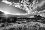 photo thumbnail #15