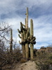 photo thumbnail #8