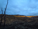 photo thumbnail #2