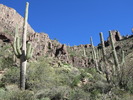 photo thumbnail #5