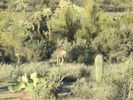 photo thumbnail #1