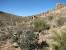 photo thumbnail #7