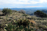 photo thumbnail #11