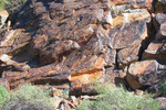photo thumbnail #3