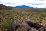 photo thumbnail #13