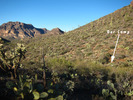 photo thumbnail #13