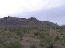 photo thumbnail #1