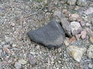 photo thumbnail #8