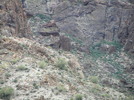 photo thumbnail #10
