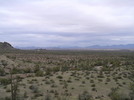 photo thumbnail #13