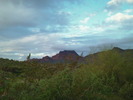 photo thumbnail #2
