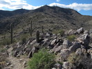 photo thumbnail #1