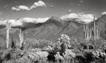 photo thumbnail #1