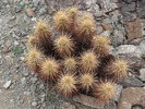 photo thumbnail #5