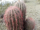 photo thumbnail #11