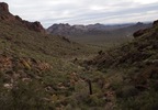 photo thumbnail #6