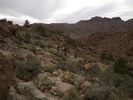 photo thumbnail #11