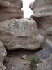 photo thumbnail #14