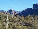 photo thumbnail #1
