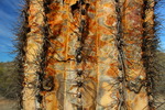 photo thumbnail #6