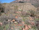 photo thumbnail #6