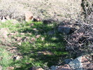 photo thumbnail #9