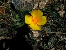 photo thumbnail #15