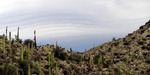photo thumbnail #9