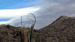 photo thumbnail #11