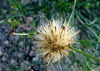photo thumbnail #15