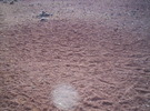 photo thumbnail #3