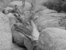 photo thumbnail #4