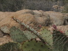 photo thumbnail #12
