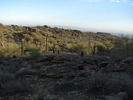 photo thumbnail #3