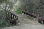 photo thumbnail #14